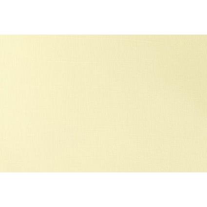 Winsor & Newton, Colore + Vernice per fai da te, Galeria Acrylic 120Ml Pale Lemon 434 (120 ml)