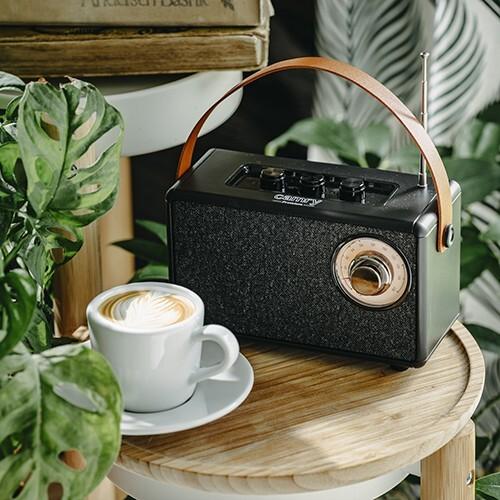 Image du produit Camry Haut-parleur avec radio | CR 1902 B | 5 W | Bluetooth | Noir | Connexion sans fil (5 h, Fonctionnement sur batterie)