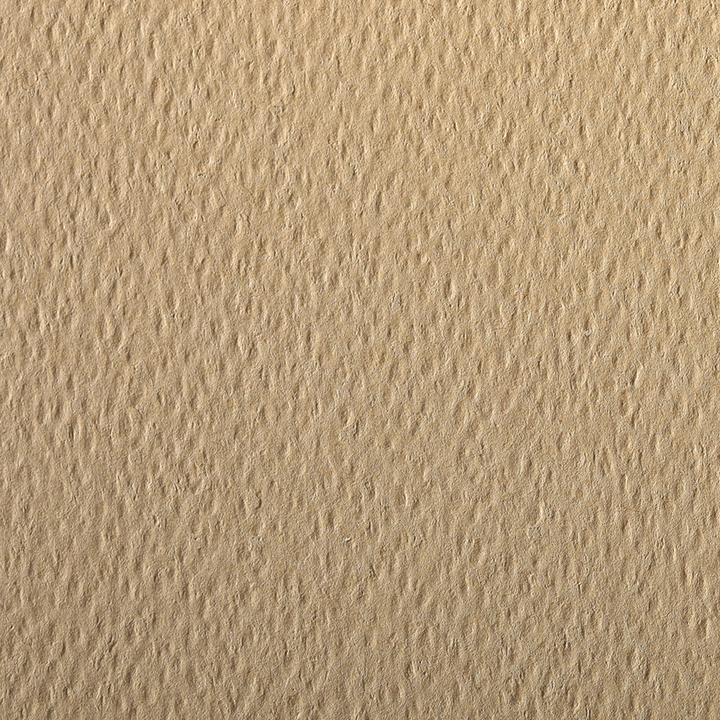 Produktbild Clairefontaine Farbige Zeichnung (160 g/m², 100 x)