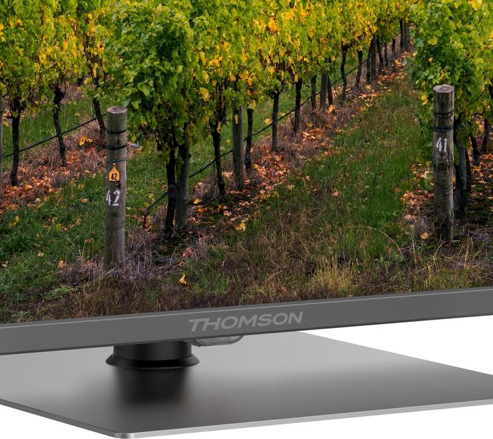 Actual product image Thomson 50QG5C14 QLed 50' Smart Google TV (50", QLED, 4K)