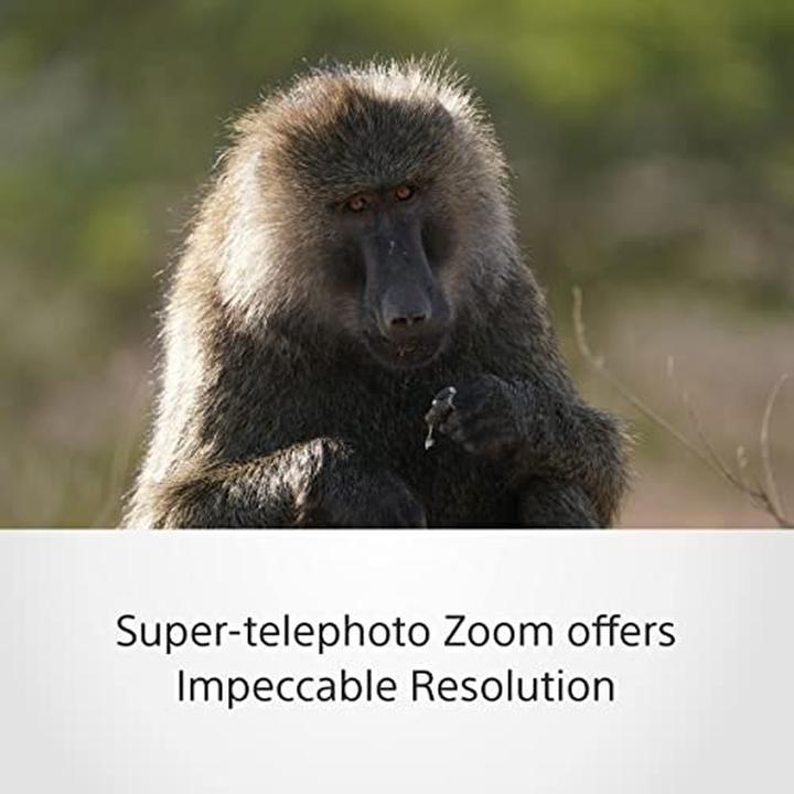Actual product image Sony FE 200-600mm f/5.6-6.3 G OSS (Sony E, full size)