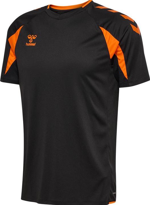 blackorangetiger