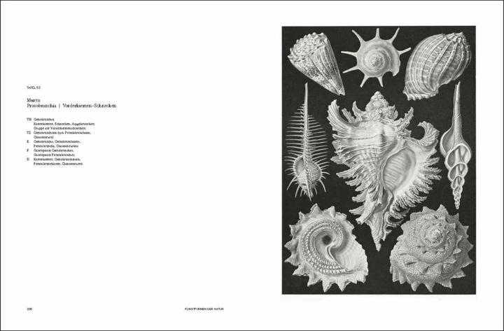 Produktbild Ernst Haeckel (Deutsch, Olaf Breidbach, 2012)