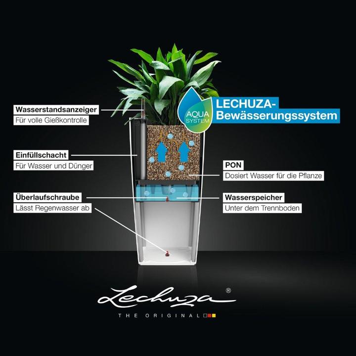 Actual product image Lechuza Cubico 40 roller coaster