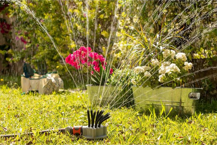 Actual product image InnovaGoods Water sprouts for the garden - 360º