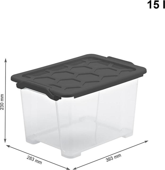 Actual product image Rotho Storage box Evo Safe (39.5 x 23 x 28.5 cm, 15 l)