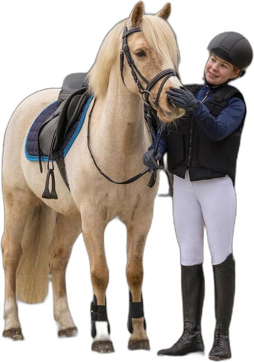 Produktbild Qhp Schutzweste Reiten Kind (M)