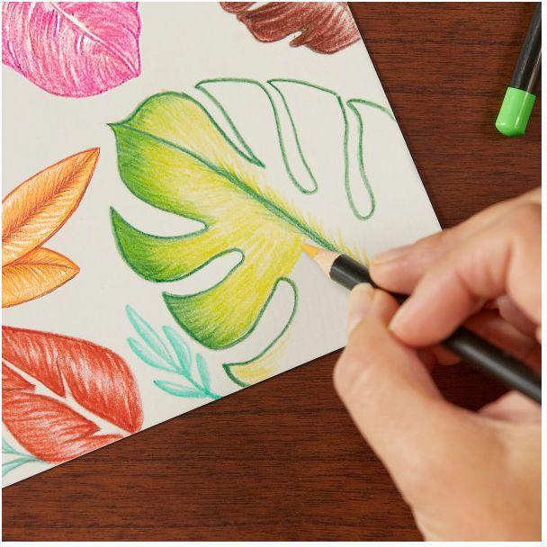 Actual product image Bic Color pencils Intensity (Assorted, 12 x)
