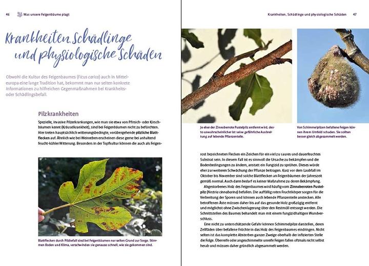 Actual product image Feigen aus dem eigenen Garten (German, Christoph Seiler, 2022)