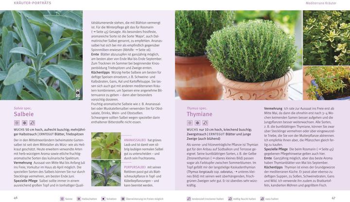 Produktbild Küchenkräuter in Töpfen (Deutsch, Engelbert Kötter, 2014)