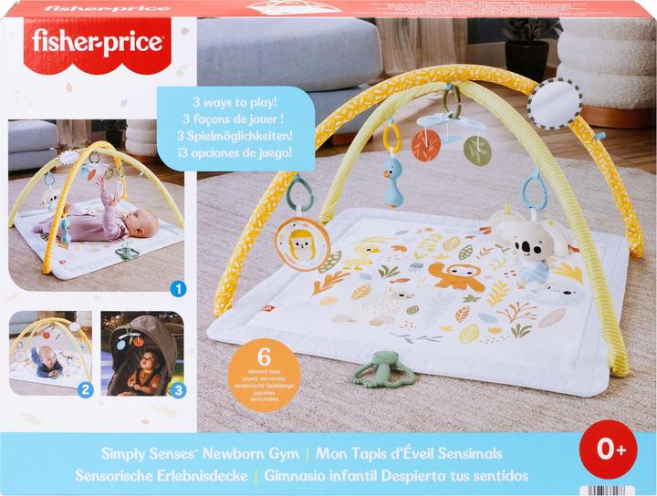 Actual product image Fisher-Price Simply Senses Newborn Gym Baby Activity Mat with 6 Sensory Toys