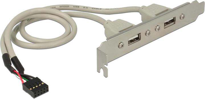 Image du produit Delock Support de fente 2x USB 2.0 à 10 broches (0.30 m, USB 2.0)