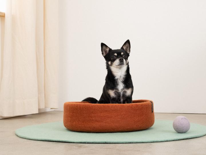 Produktbild Myfelt Lora (Hund)