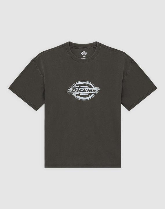 Produktbild Dickies Plainville Ss Tee (M)