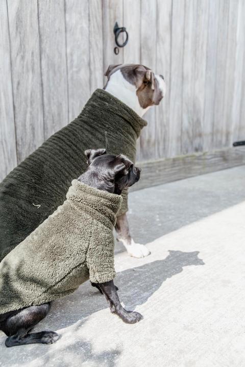 Produktbild Kentucky Dogwear Hundepullover Teddy Fleece (S, Hundepullover)