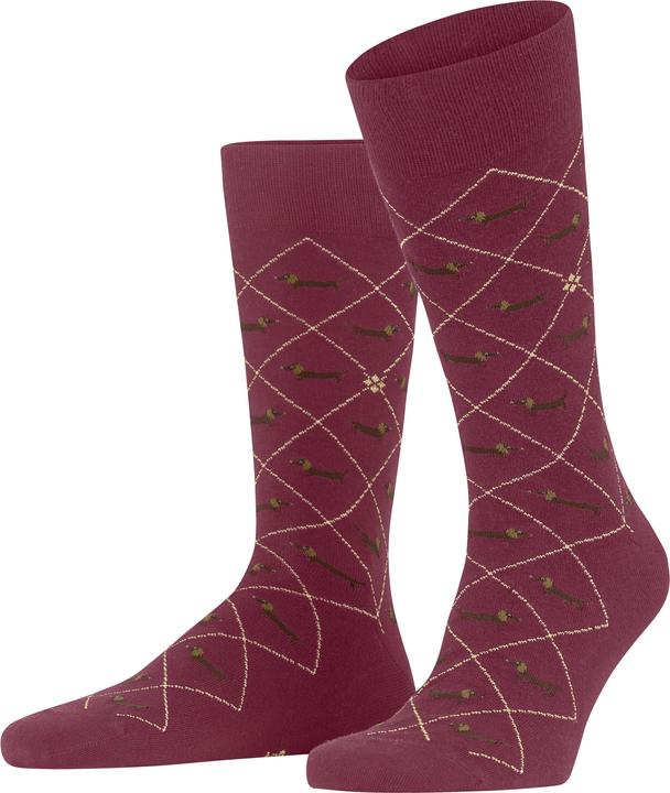 Produktbild Burlington Dachshund (Einzelpack, 40 - 46)