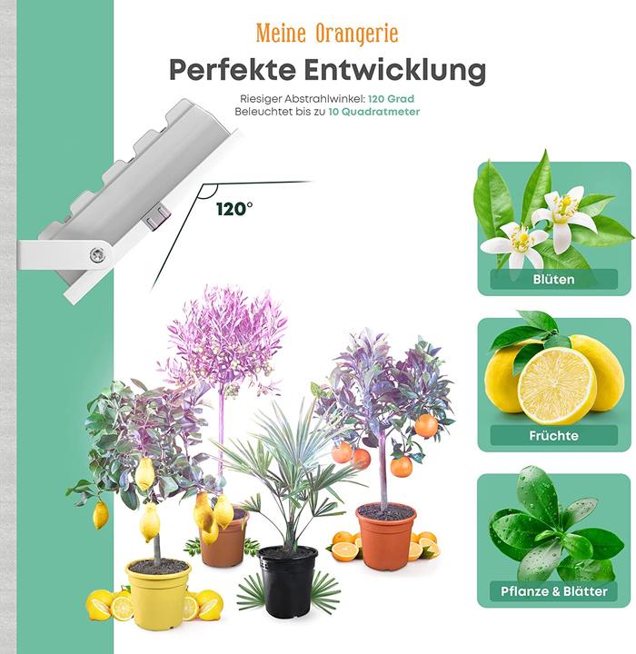 Immagine prodotto Meine Orangerie Lampada per piante (LED, 230 V)