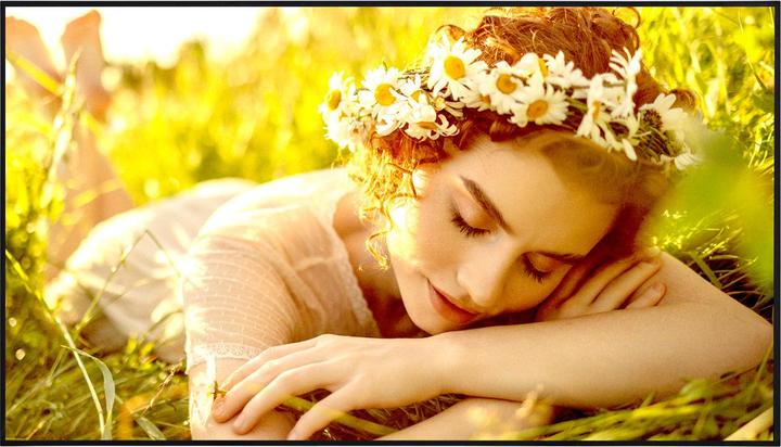 Image du produit LG 65UL5Q-E Signage Display 65inch ADS UHD 500cd/m2 1,200:1 24/7 WebOS 6.1 WiFi (3840 x 1600 pixels, 65")