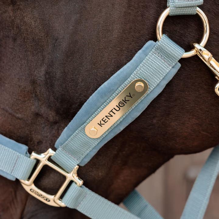 Immagine prodotto Kentucky Horsewear Cavezza in nylon