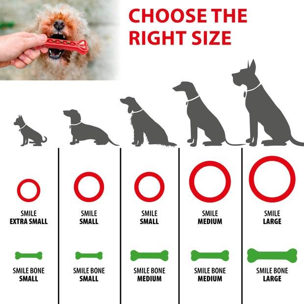 Immagine prodotto Ferplast Anello del sorriso S rosso - Gioco per cani (Gioco da masticare per cani)