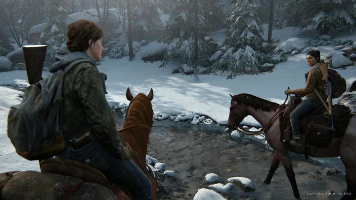 Produktbild Sony The Last of Us Part II (2) (PS4, EN)