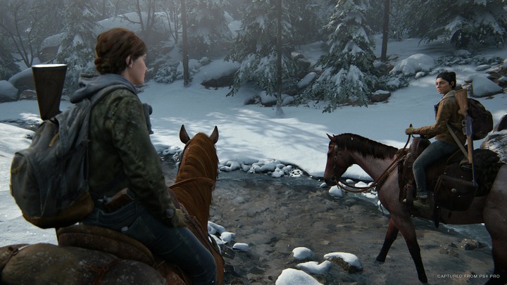 Produktbild Sony The Last of Us Part II (2) (PS4, EN)