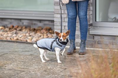 Produktbild Trixie 680344 (S, Hundemantel)