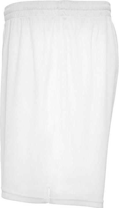 Actual product image Alpinia Unisex Adult Player Sports Shorts (L)