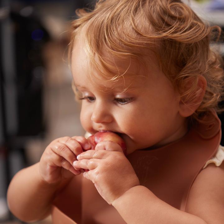 Produktbild Filibabba Eichhörnchen (0 Monate)