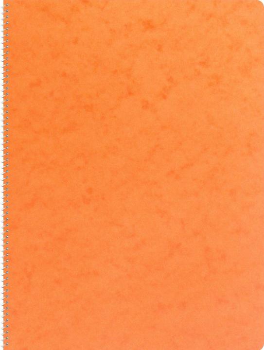 Produktbild Novooo Spiralheft assortiert (A4, Kariert, Weicher Einband)