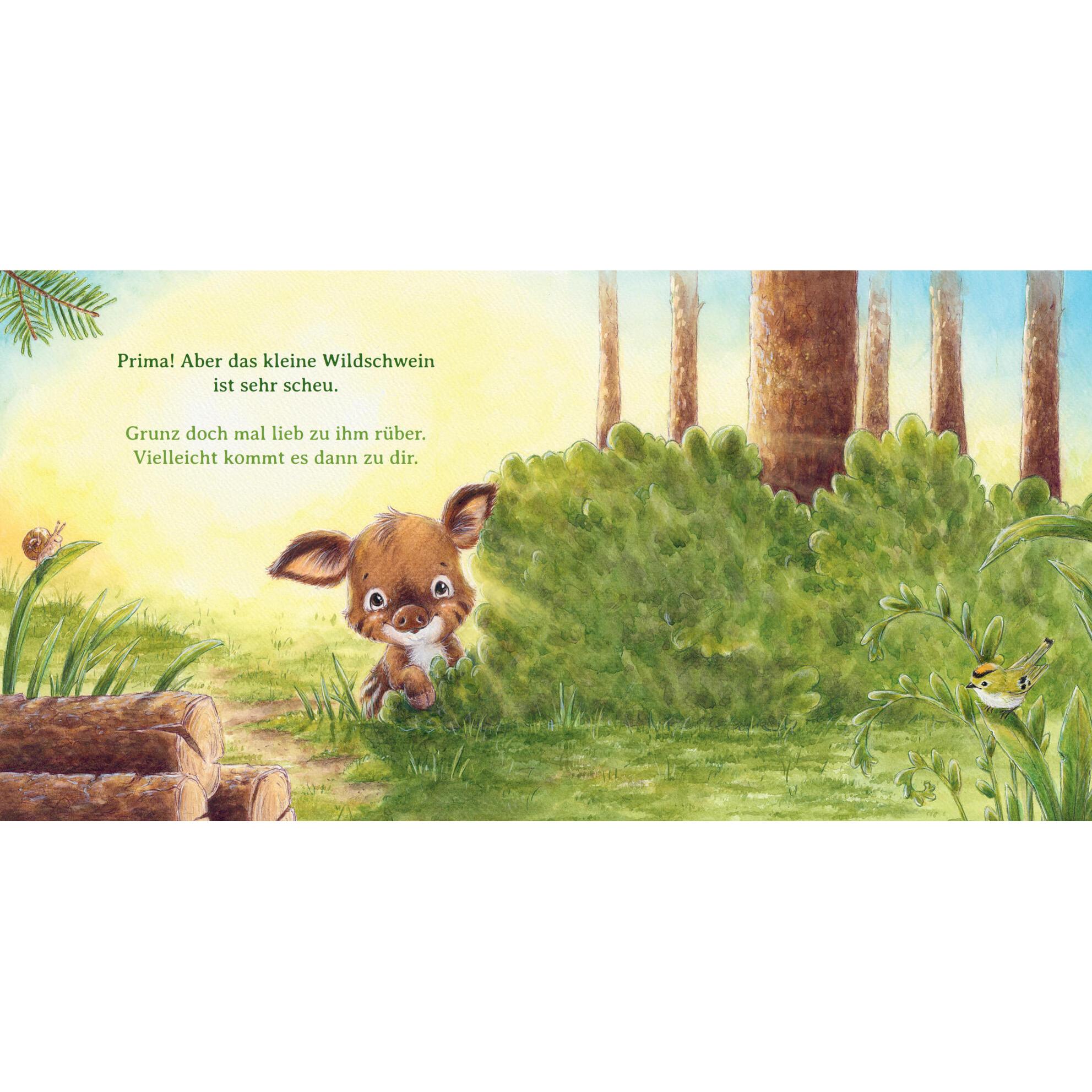 Thumbnail - Ein Rüsselküsschen für dich, Kinderbücher von Sophie Schoenwald, Nadine Reitz