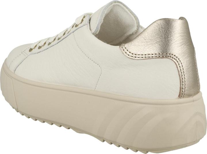 Image du produit Ara Monaco - 64321 (40)