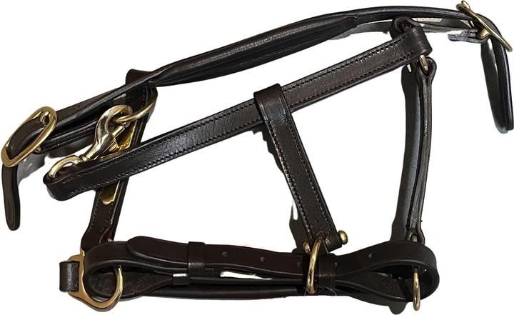 Immagine prodotto Premiere Equitation