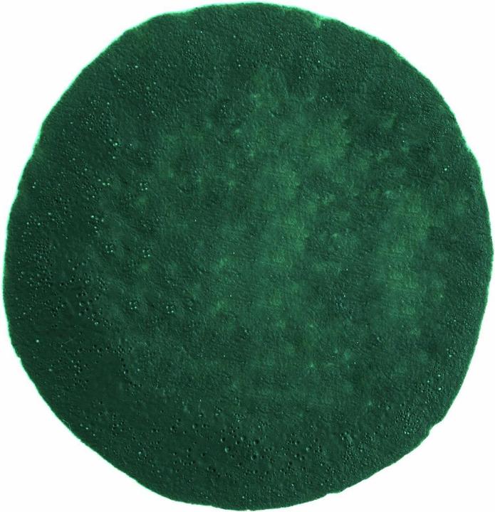 Image du produit Rico Design Rico Squeeze Marker 60 ml Vert Foncé (1x)