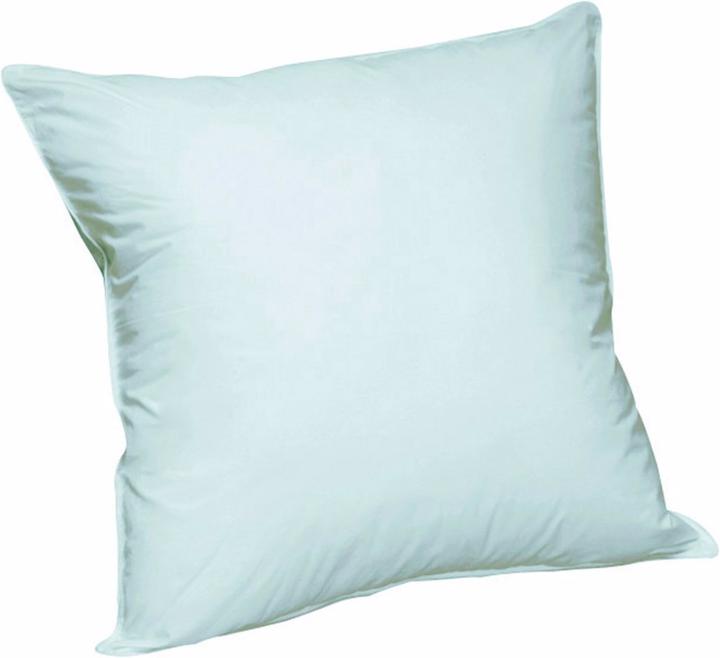 Actual product image La Redoute Interieurs Oreiller (60 x 60 cm)