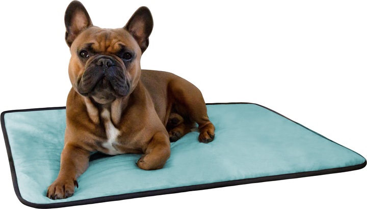 Actual product image Aspero Hanko and Lund Dog Bed and Blanket - 8615 (Dog)