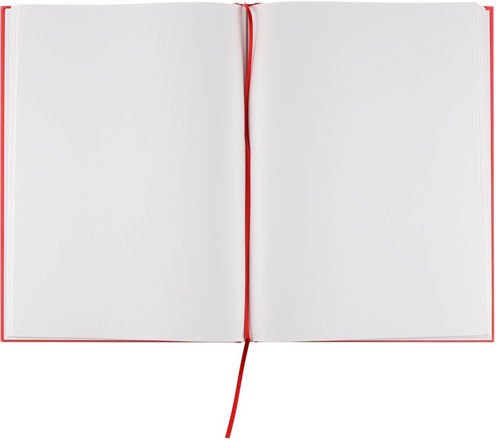 Actual product image Neutral Notebook (A4, Plain, Hardcover)