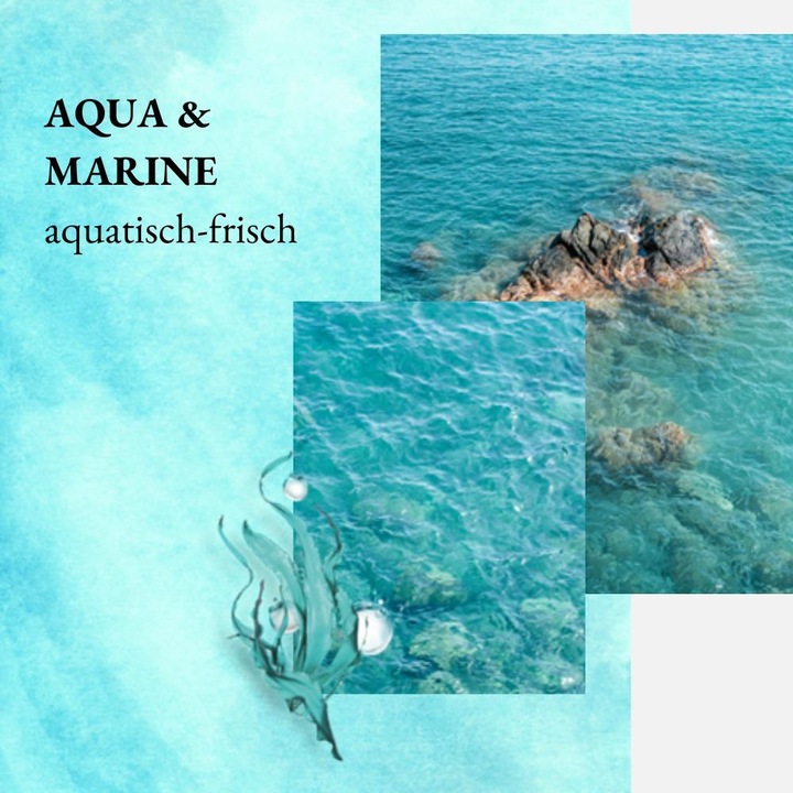 Produktbild we:care2 Duschgel, Aqua-Marine (250 ml)
