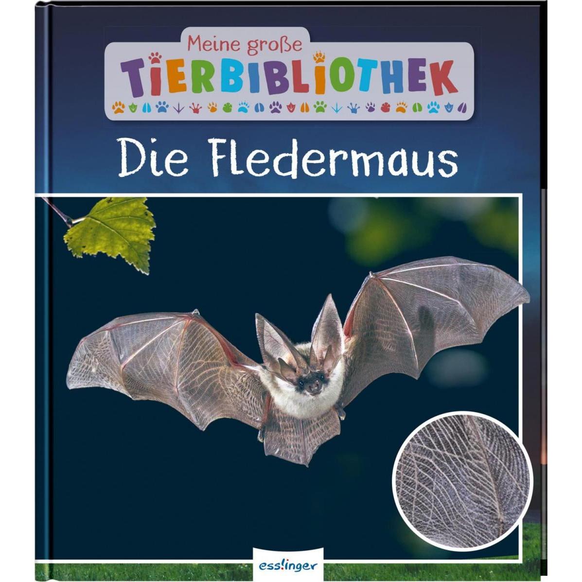 Meine grosse Tierbibliothek: Die Fledermaus, Kinderbücher von Dr. Jens Poschadel