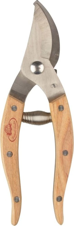 Immagine prodotto Esschert Design Set di piante di cannella 4 pezzi