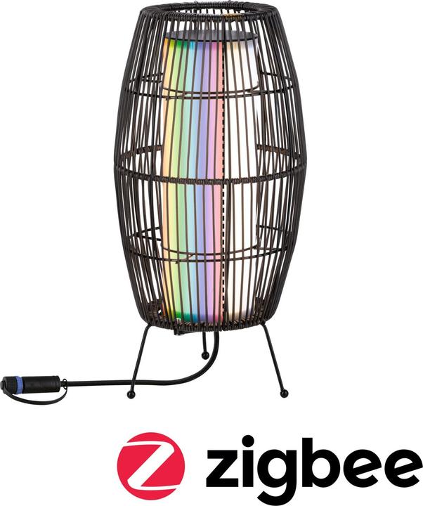 Actual product image Paulmann Outdoor Plug & Shine Basket (260 lm, IP44)