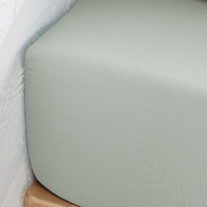 Actual product image La Redoute Interieurs Percale Bio (90 x 190 cm)