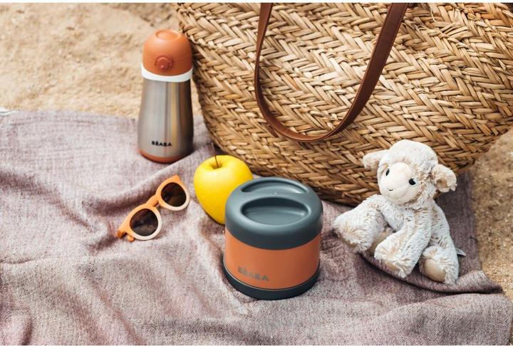 Actual product image Beaba Inox Portion Iso 500ml grey/terracotta