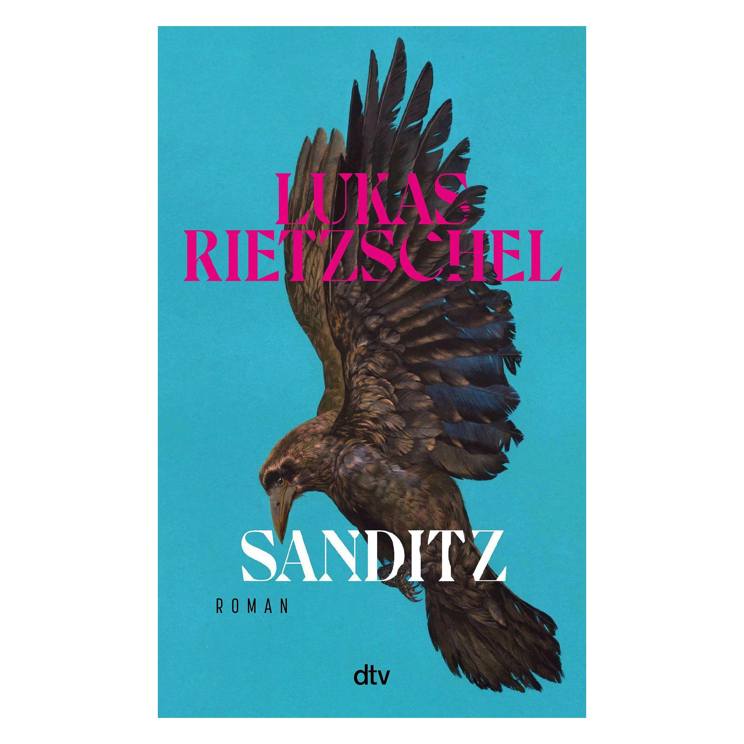 Dtv Sanditz, Fictie Van Lukas Rietzschel