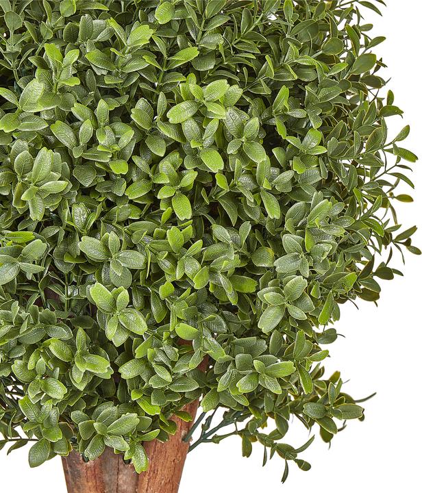 Immagine prodotto Beliani Buxus Ball Tree (154 cm)