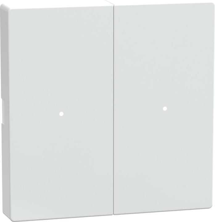 Actual product image Schneider Rocker for 2-gang push-button module, active white glossy, System M MTN619225