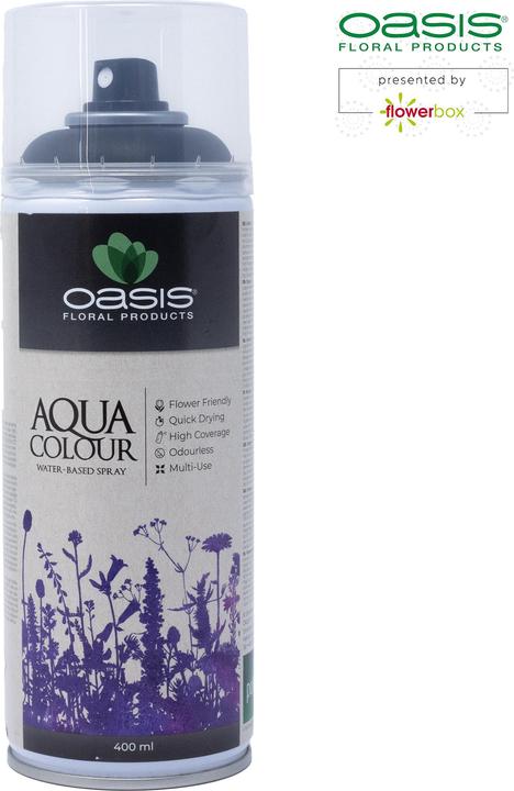 Actual product image Oasis Aqua Colour Spray Black 400ml (400 ml)