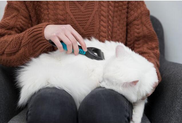 Productafbeelding Trixie Bontont ontbladeraar (Kat, Hond)
