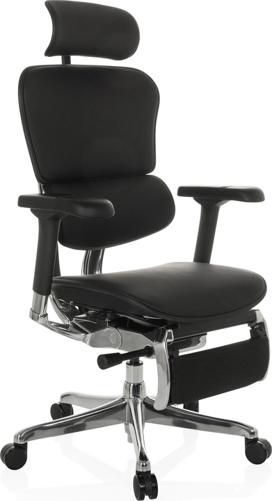 Actual product image Hjh Office Ergohuman Plus Legpro Gen2