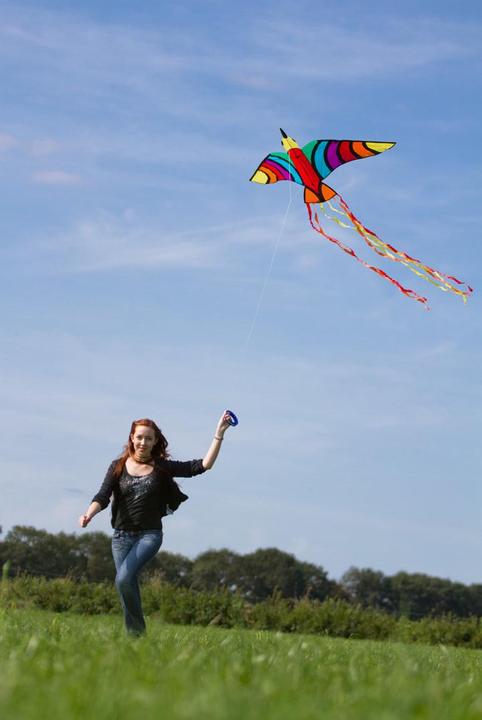 Actual product image Invento Dragon Tropical Bird